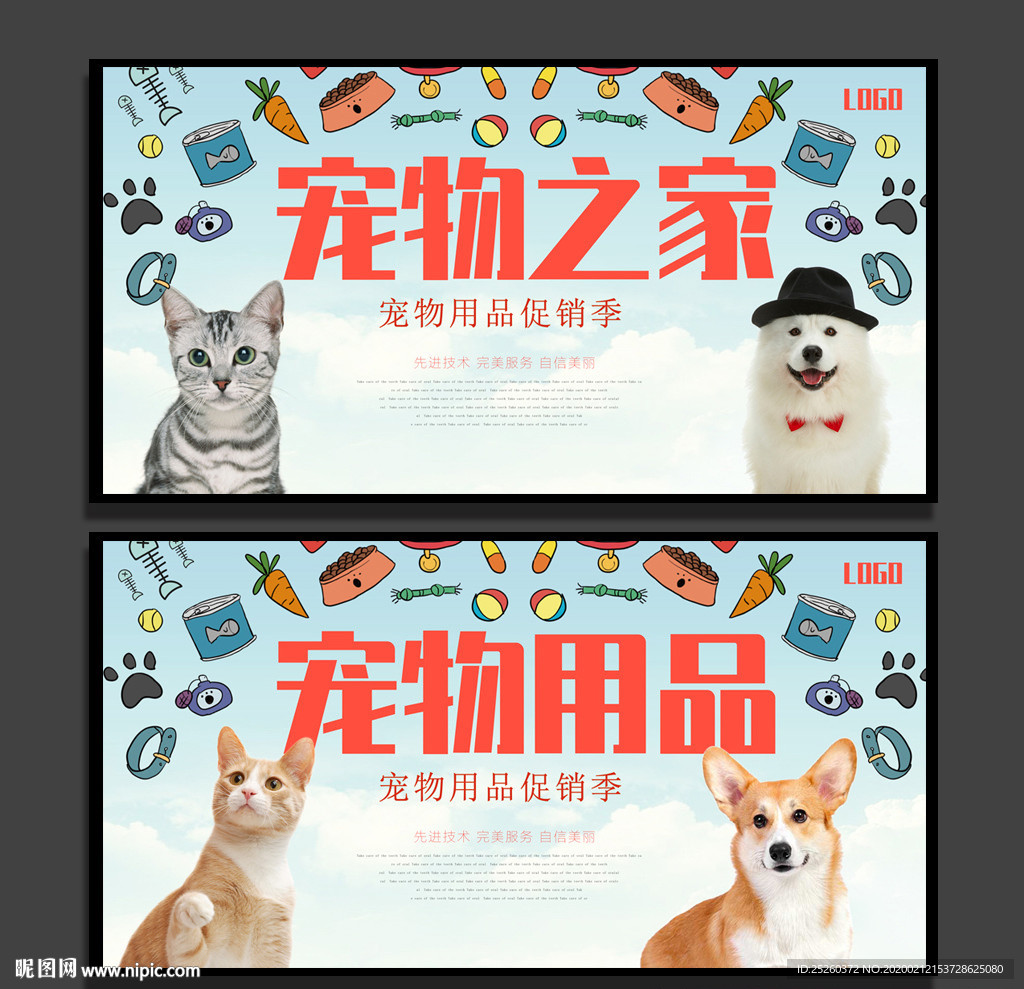 宠物