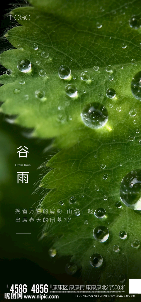 谷雨