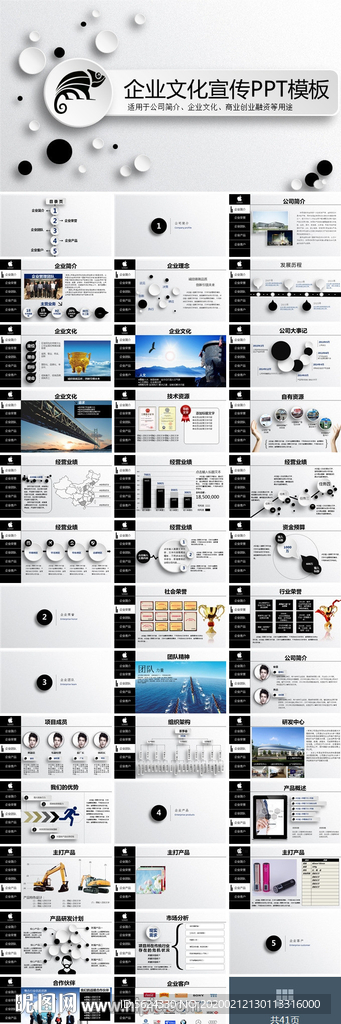 企业 报告 ppt