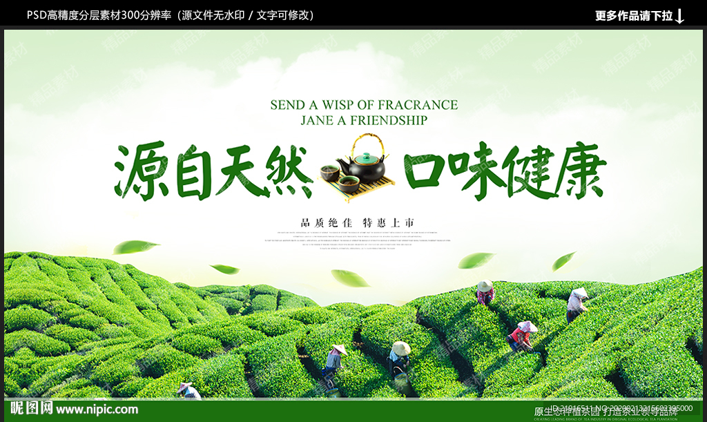 茶叶海报