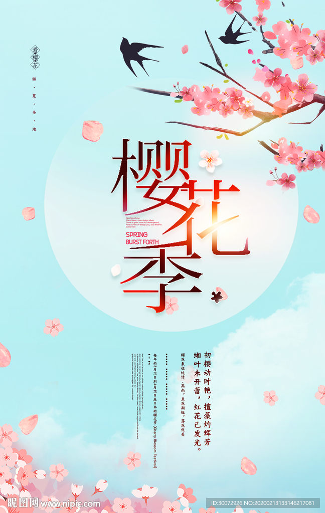 樱花季图片