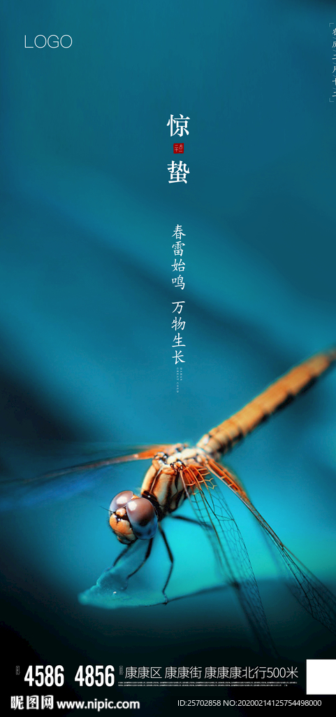 节气海报