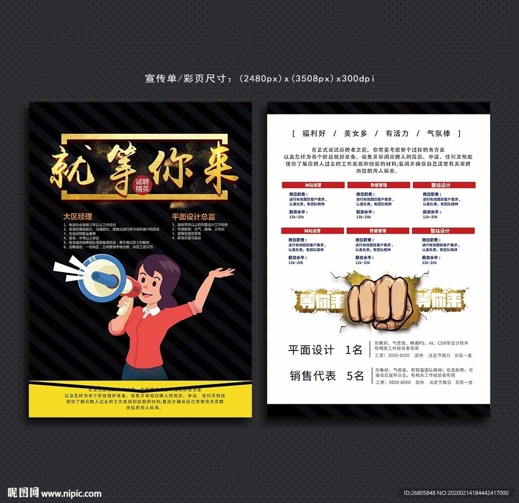 招聘彩页