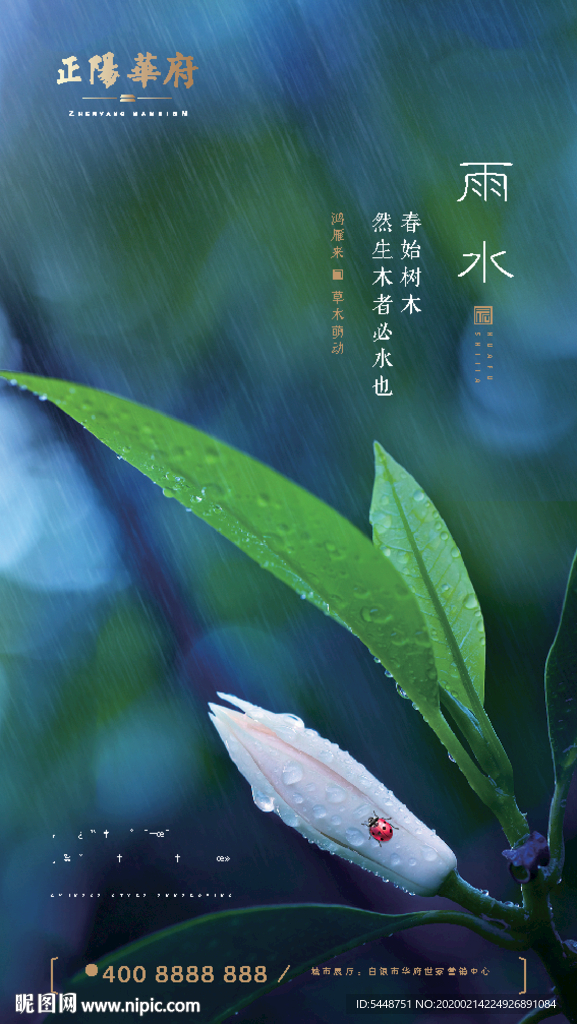 雨水 雨水海报 雨水节气 节气