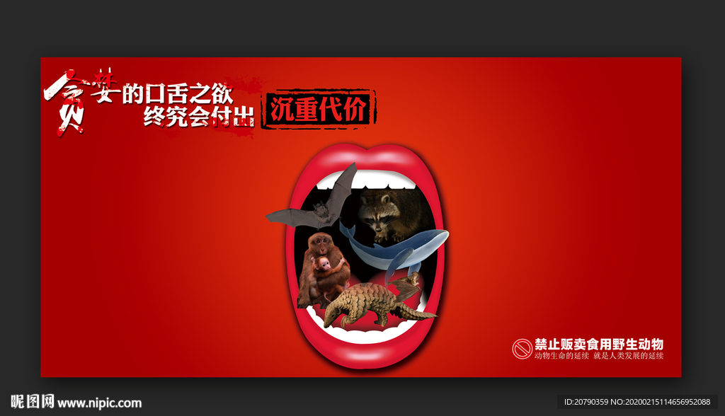 禁止吃野味