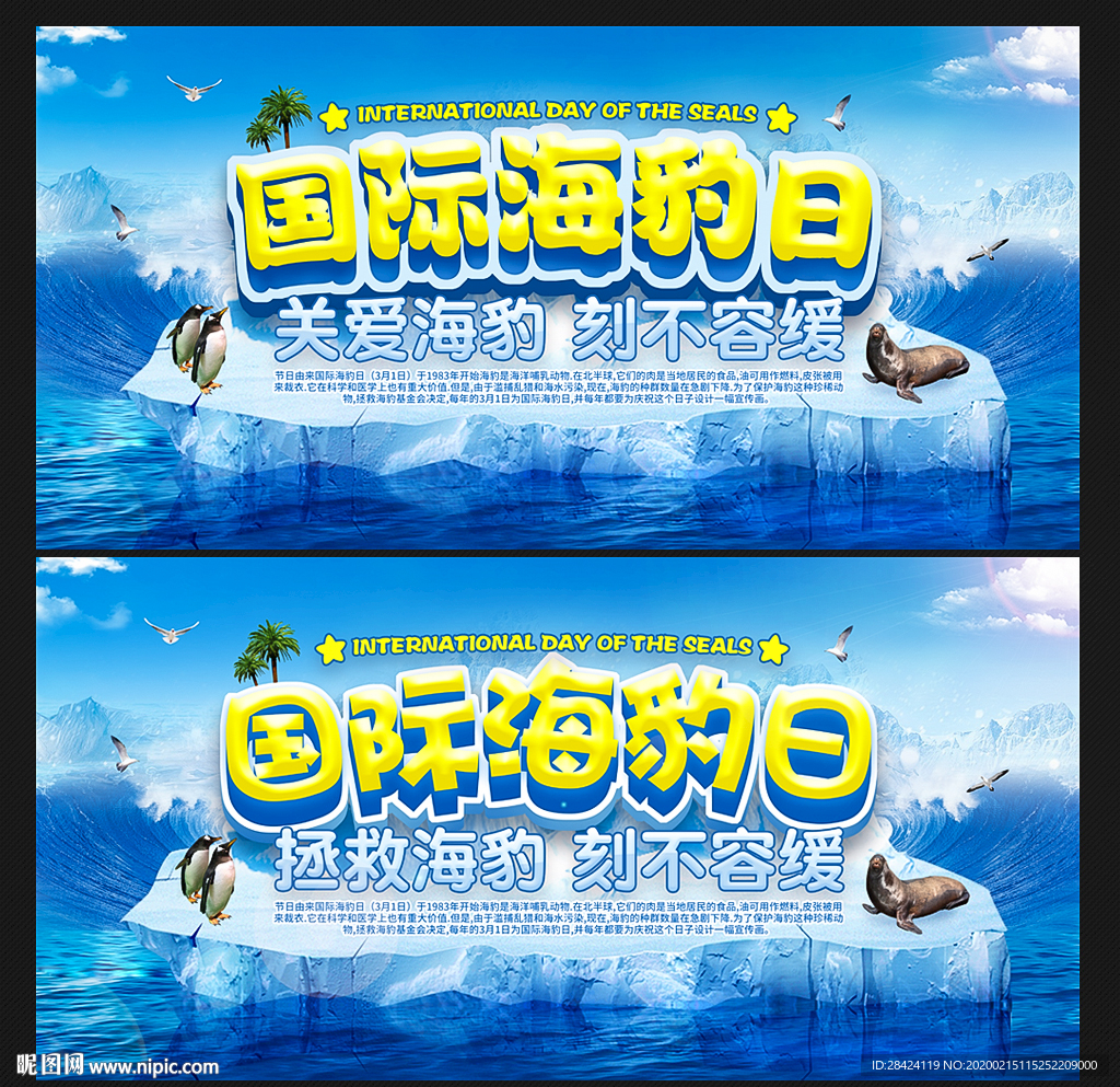 国际海豹日