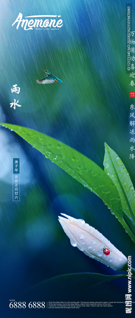 雨水