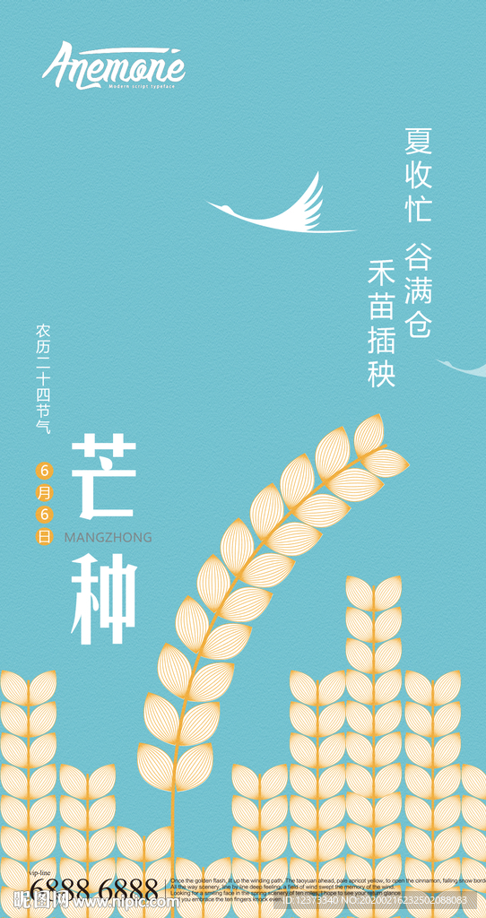 芒种