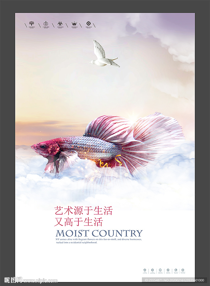 孔雀鱼