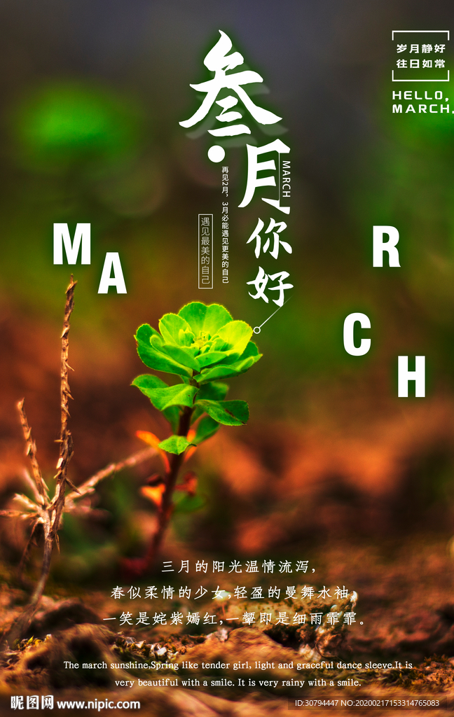 三月你好