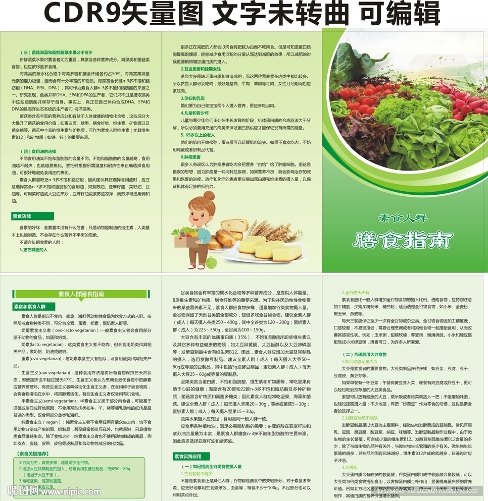 素食人群膳食指南