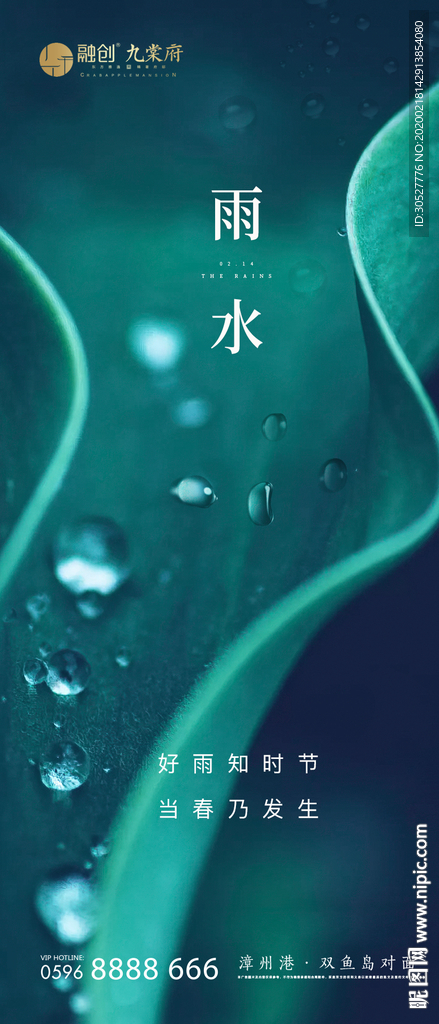 雨水 雨水海报 雨水节气 节气