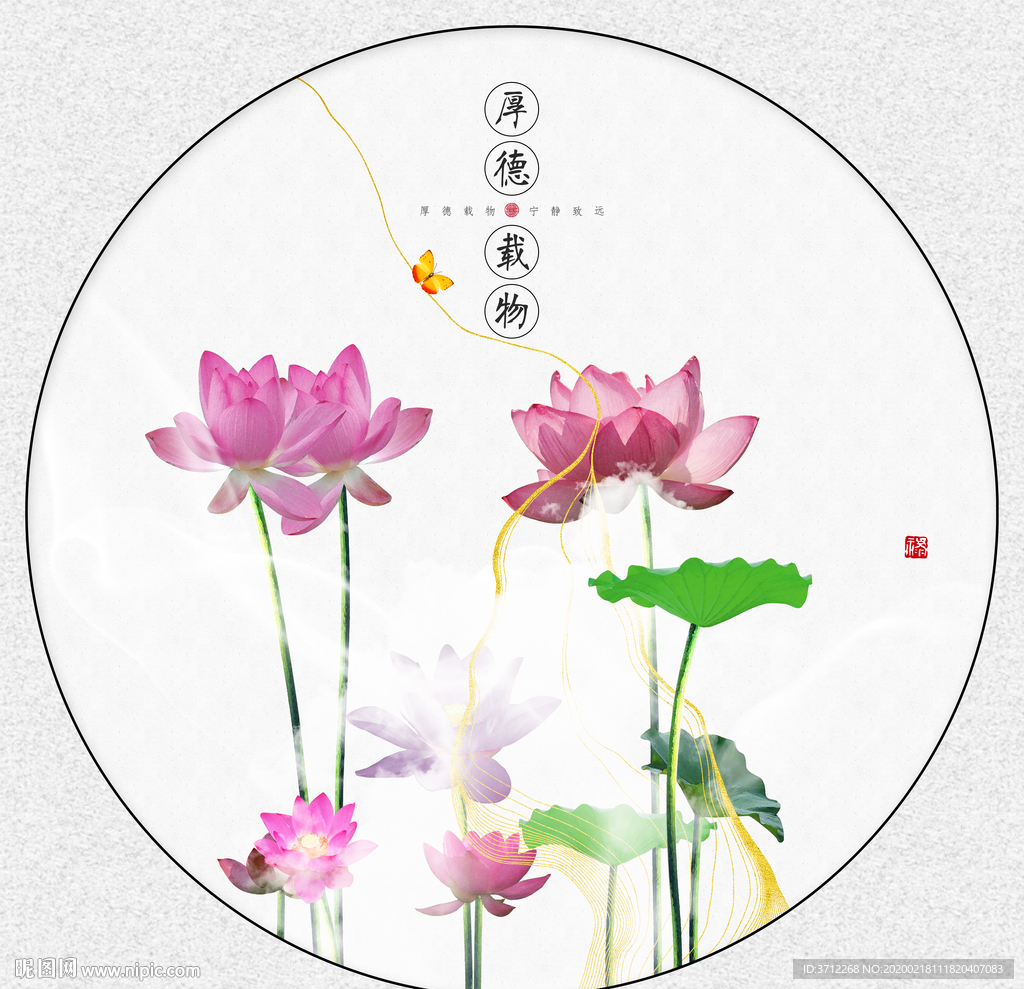 高清荷花
