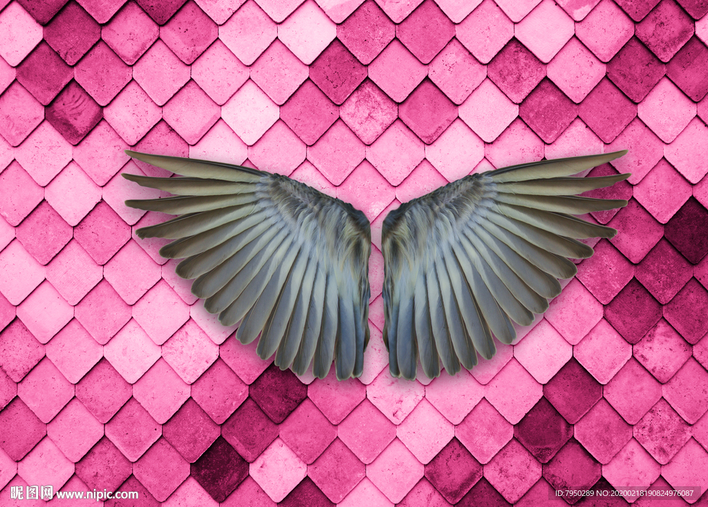 网红拍照背景墙