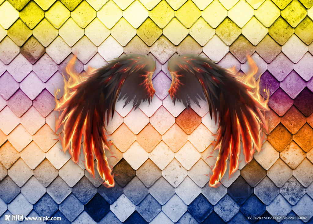 网红拍照背景墙