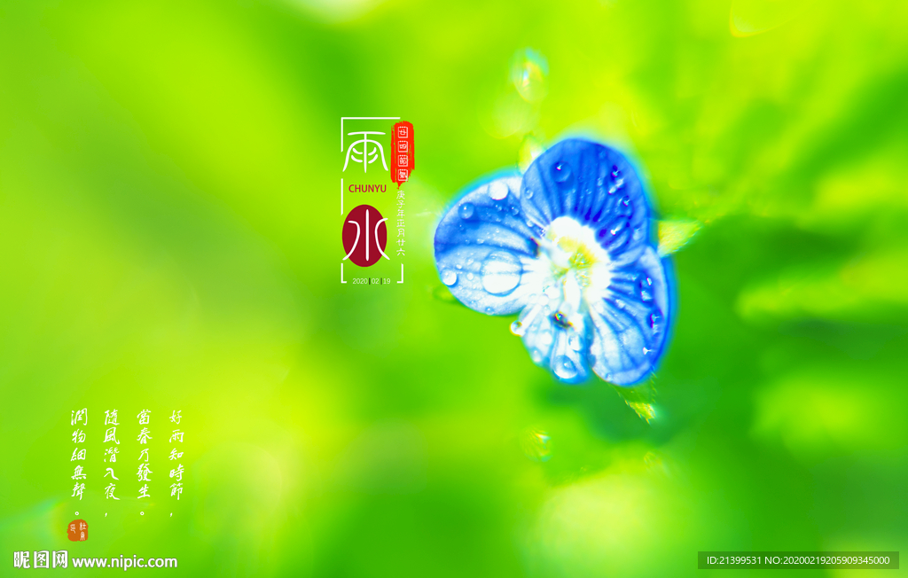春雨封面