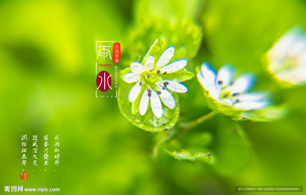 春雨海报
