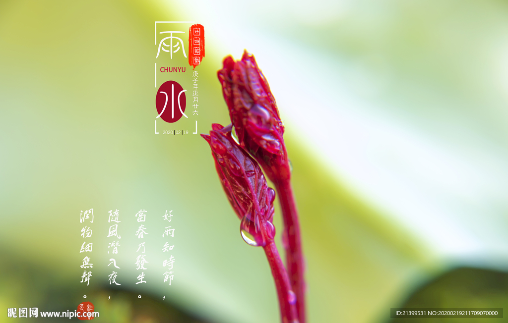 春天嫩芽