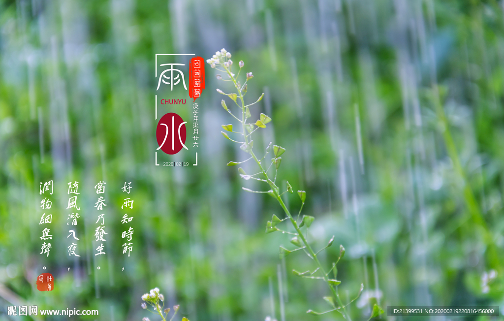 春雨封面
