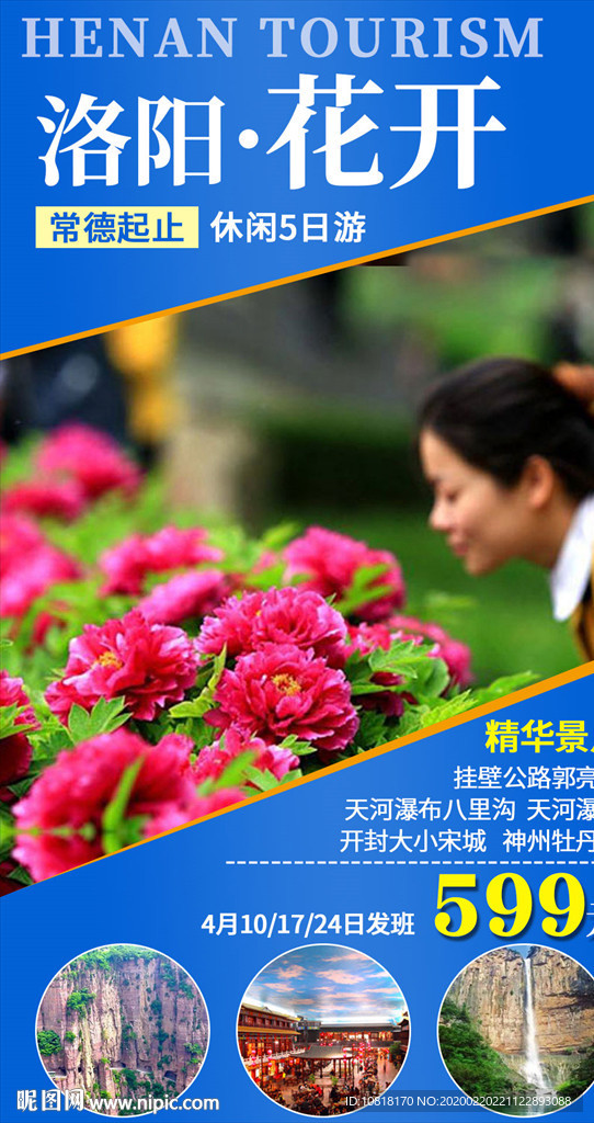 洛阳牡丹花开旅游