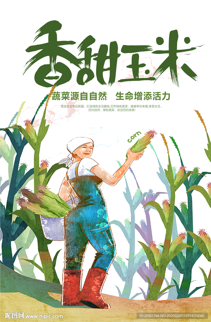 玉米广告