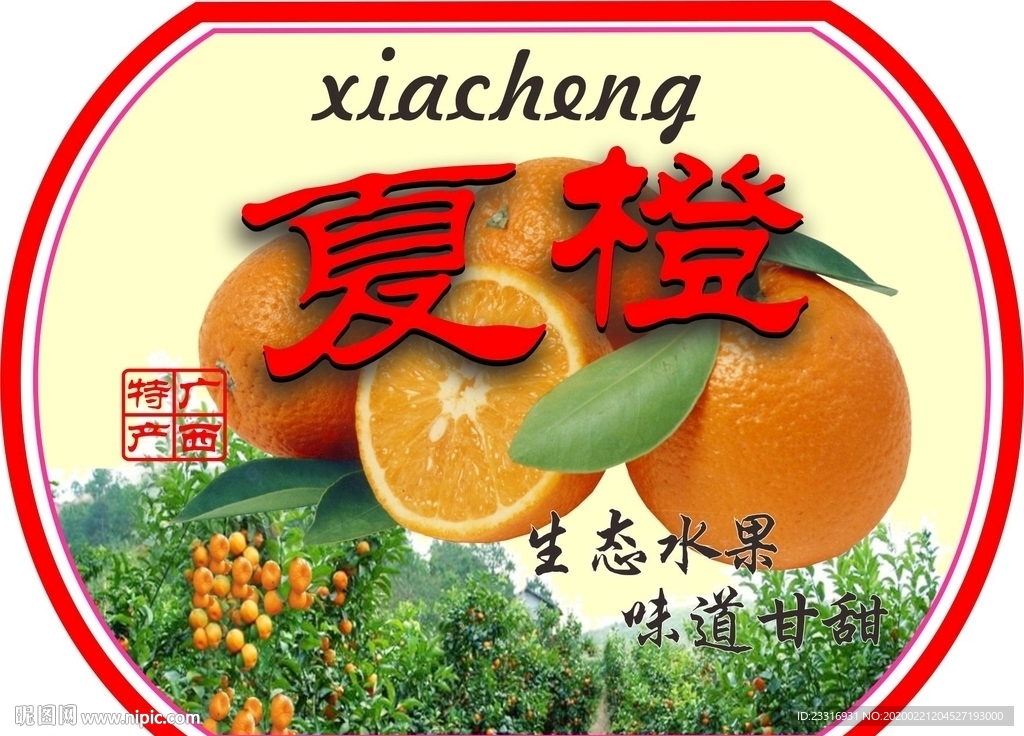 橙子圆标