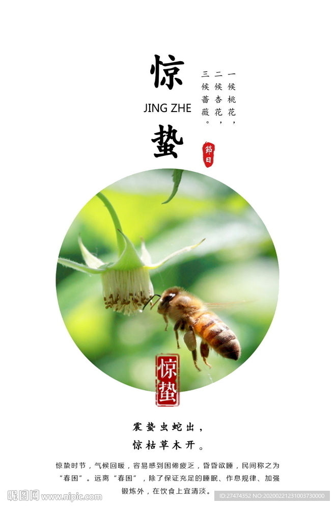 商务简洁惊蛰节气海报