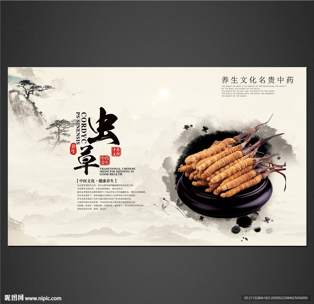 虫草海报