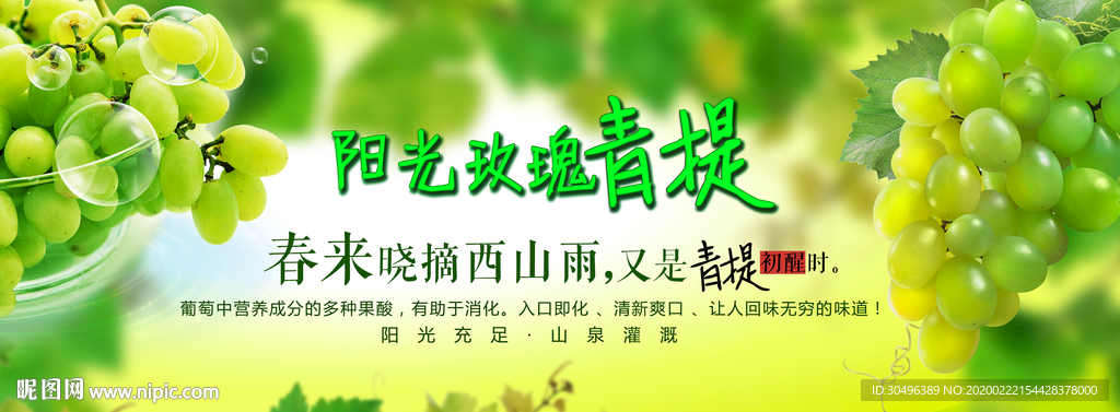 葡萄提子水果 生鲜水果类