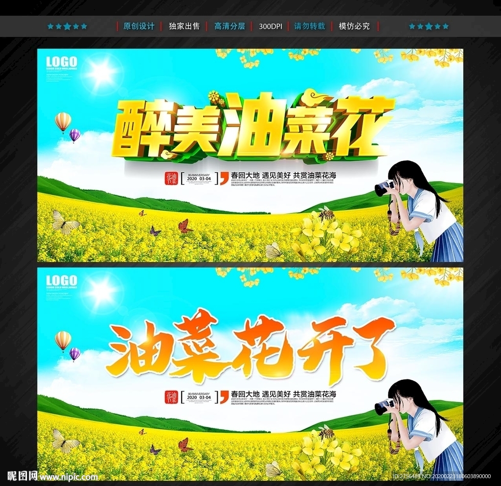 油菜花节