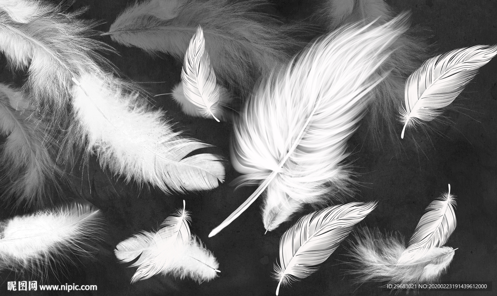 白色羽毛奢华画 tif分层
