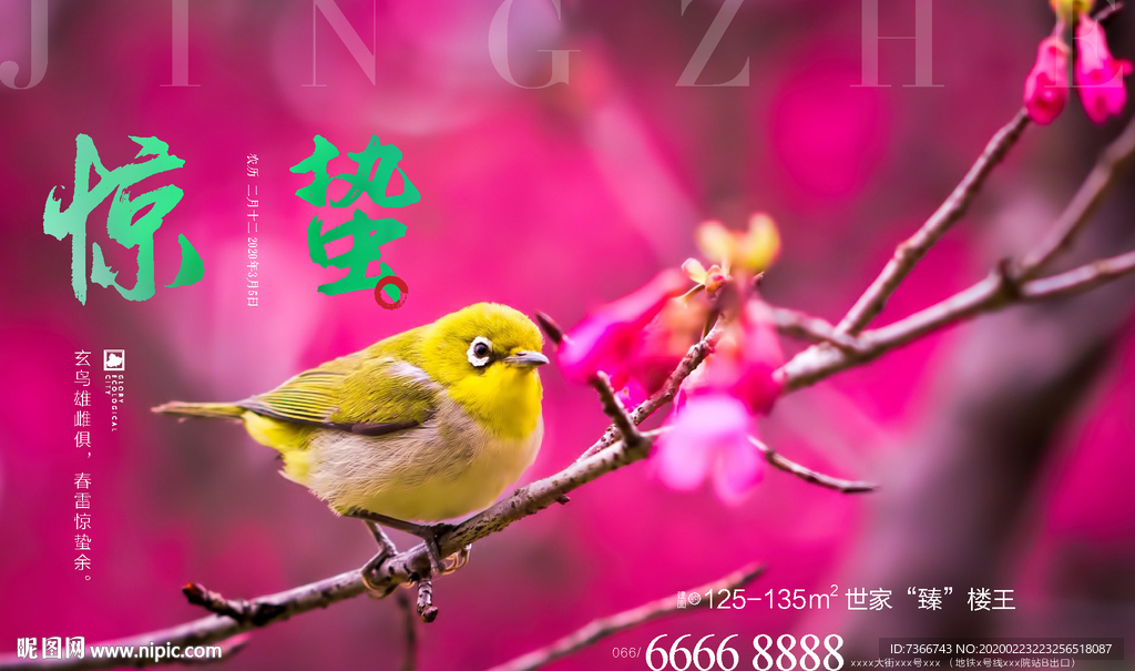 惊蛰