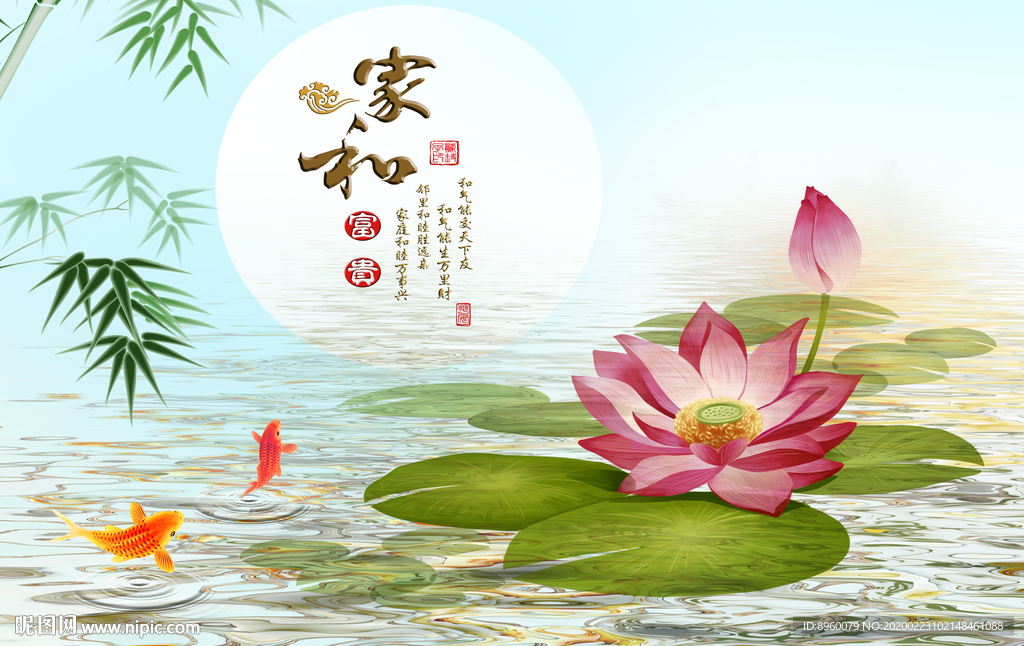荷花 莲花