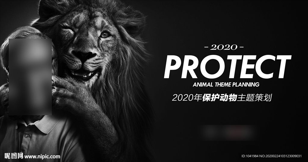 保护动物 狮子