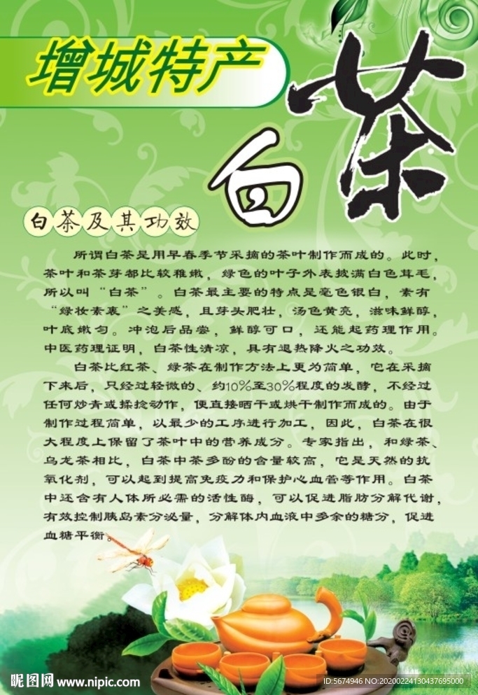 白茶功效