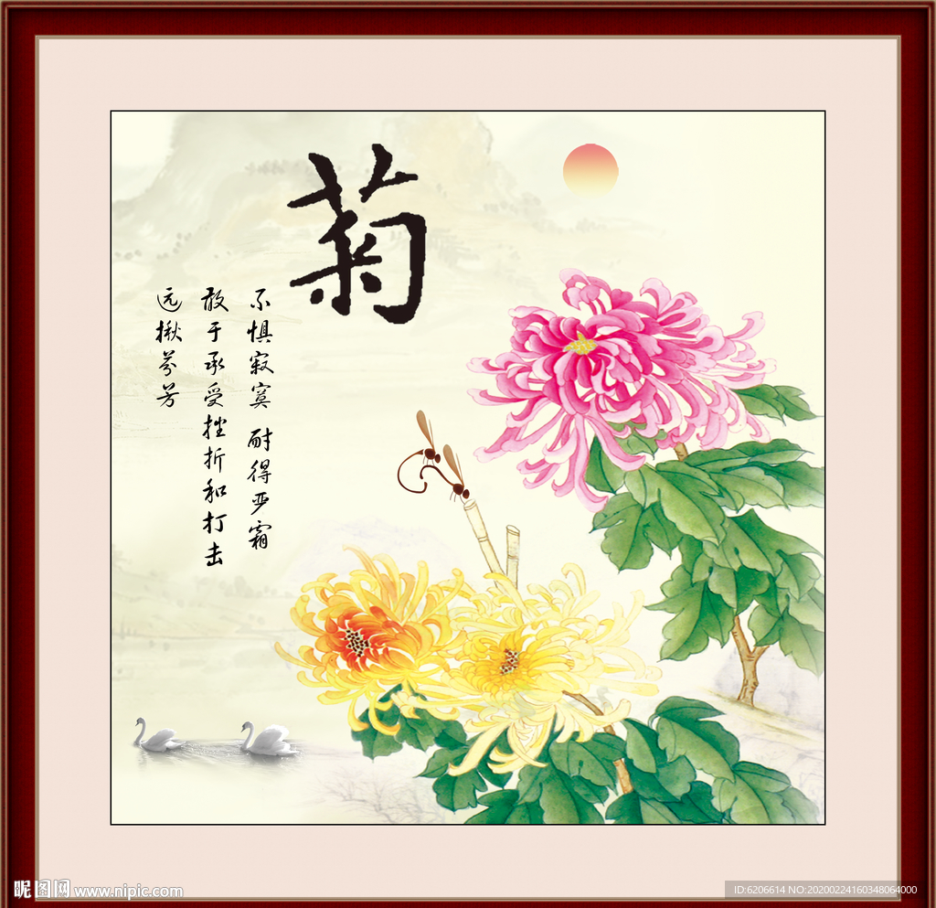 菊