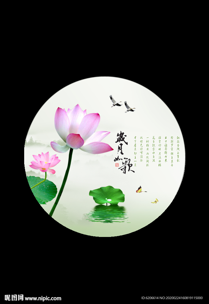 荷花