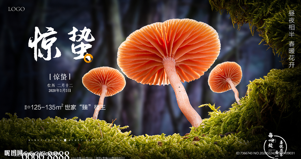 惊蛰