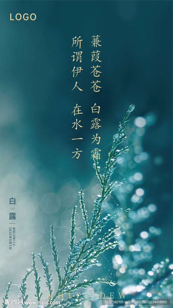 白露海报白露节气稿海报