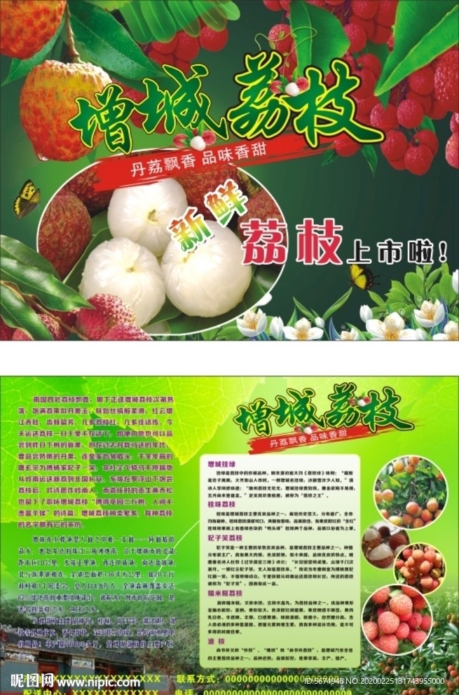 增城荔城宣传单