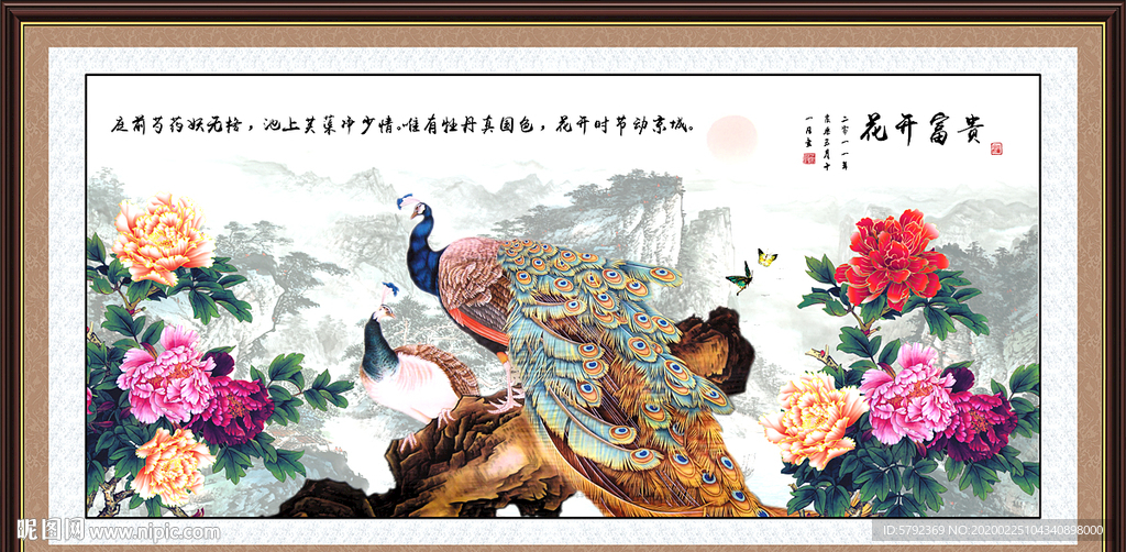 牡丹牡丹花