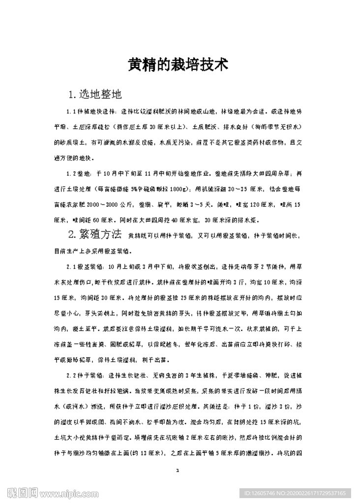 黄精种植说明