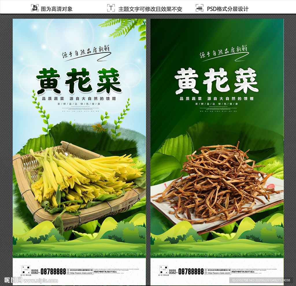 黄花菜