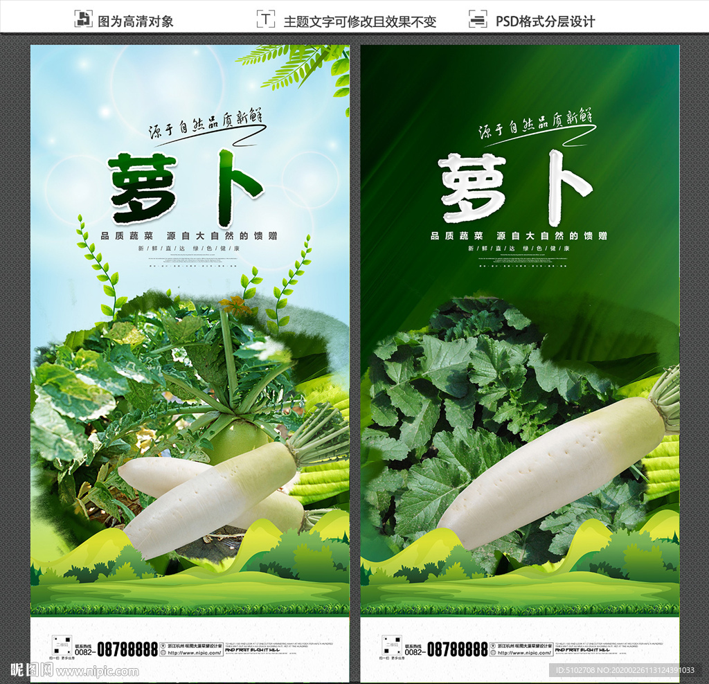 萝卜