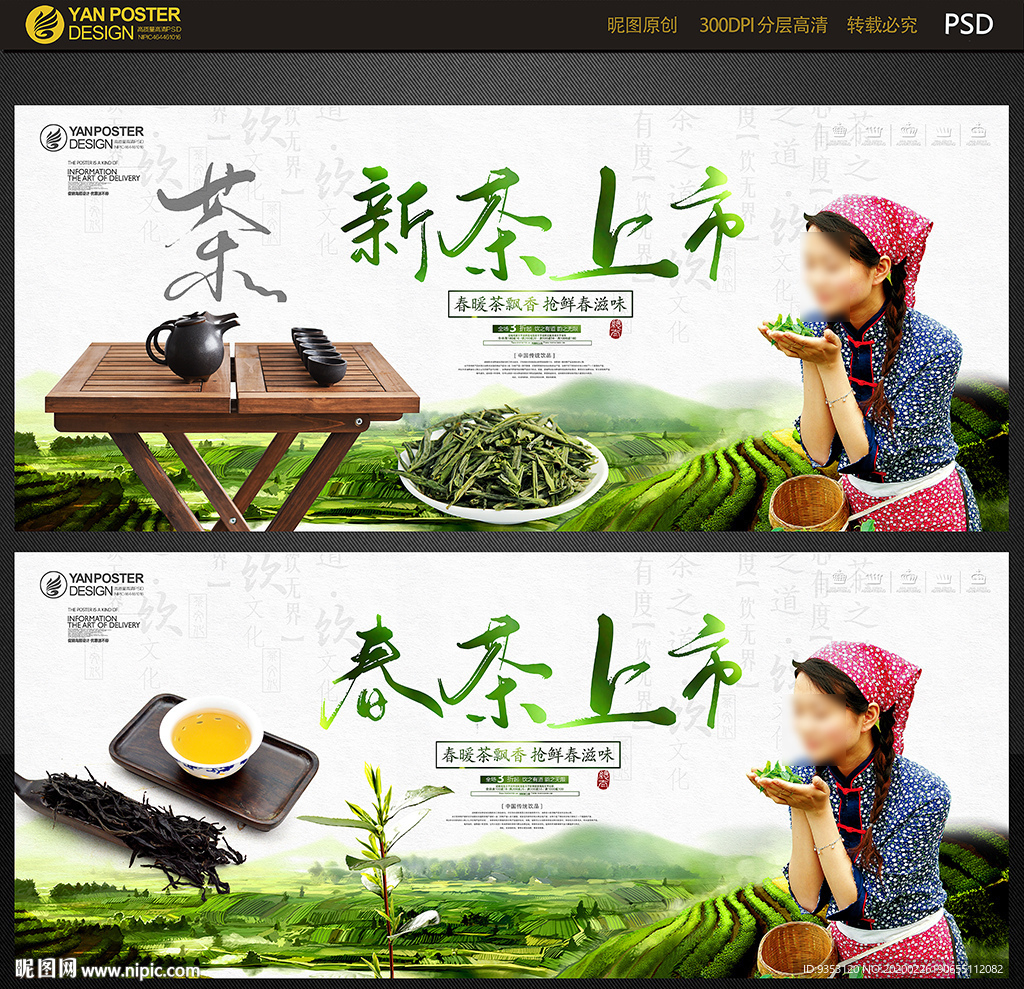春茶