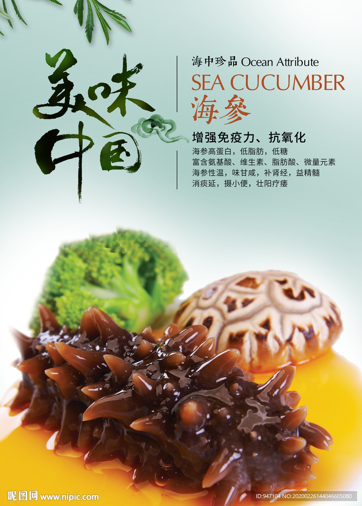 海参海报