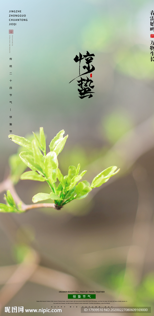 惊蛰