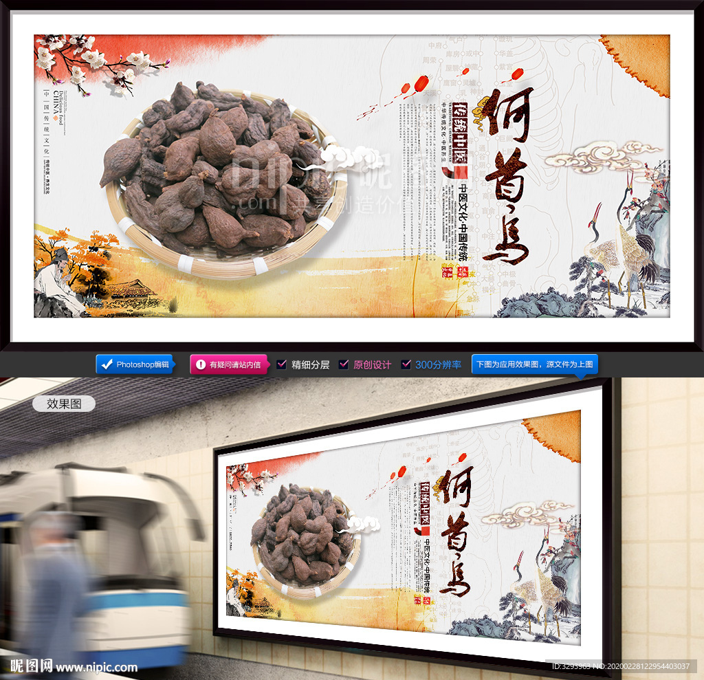 何首乌