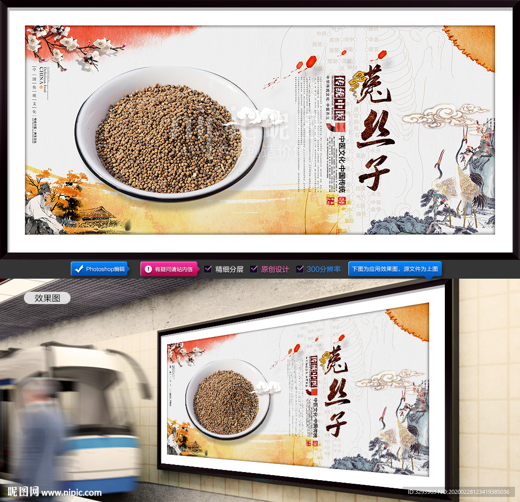 菟丝子