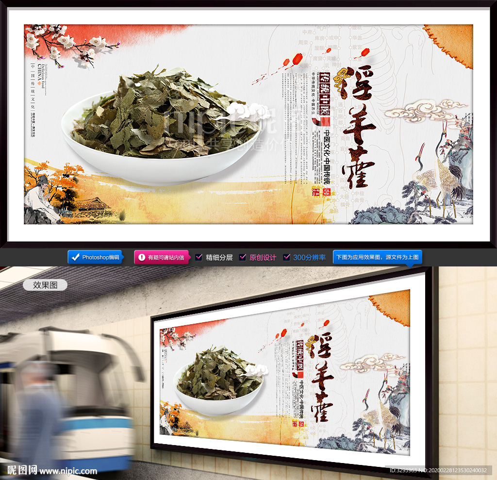 淫羊藿